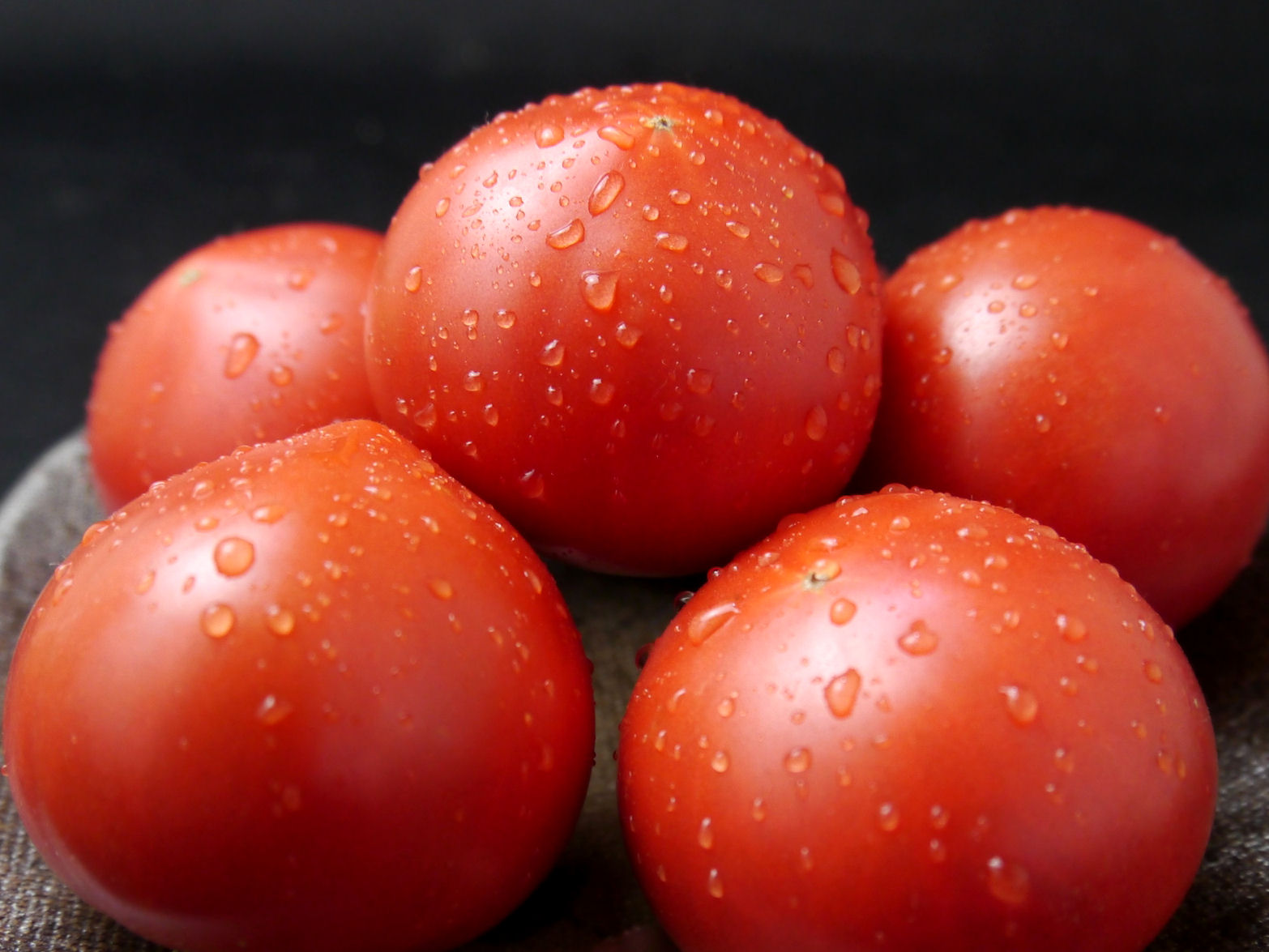 日高村　シュガートマト